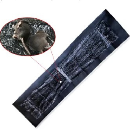 Tapis Piège à Souris Collant — Pour une maison propre, sûre et sans nuisibles !